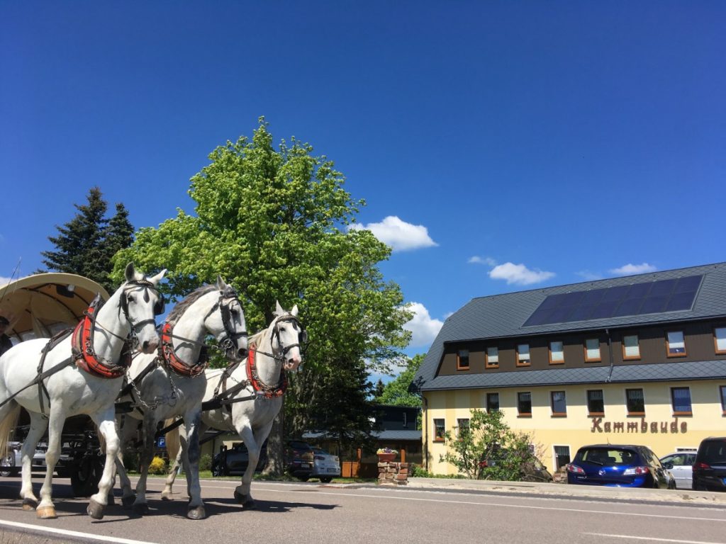 Hotel Dachsbaude & Kammbaude