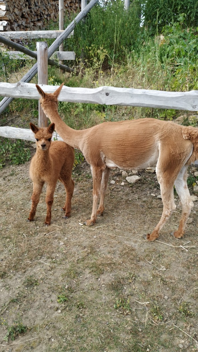 Moni und Mama Cecilia