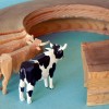 Sonderausstellung Ringe, Tiere, Schachtelware Reifentier-Kuh-als-Werdegang im Reifen