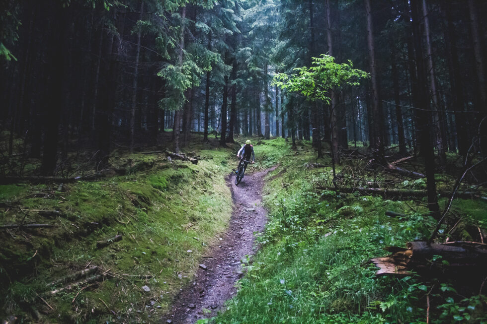 Waidmannsheil zur „Treibjagd im Dunkelwald“ 1