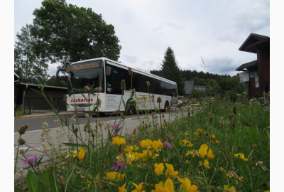 Bus und Bahn 3