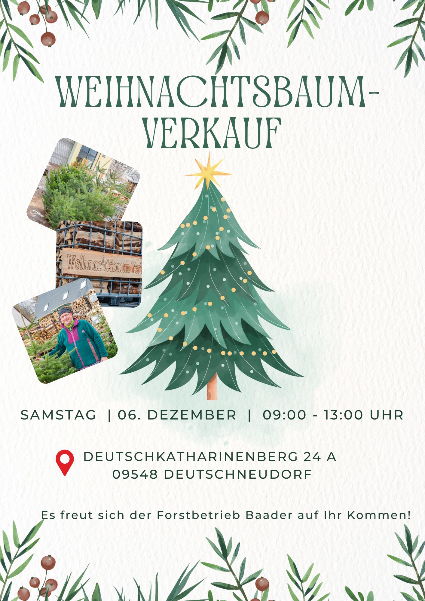 Weihnachtsbaumverkauf 7