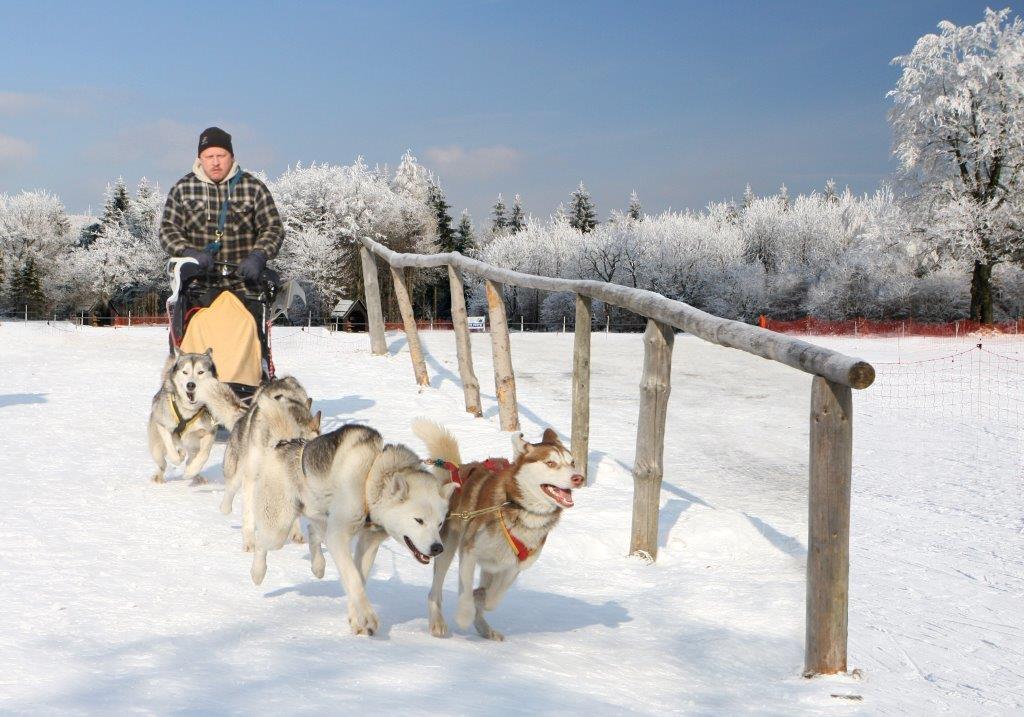 Silvester-Husky-Camp 1