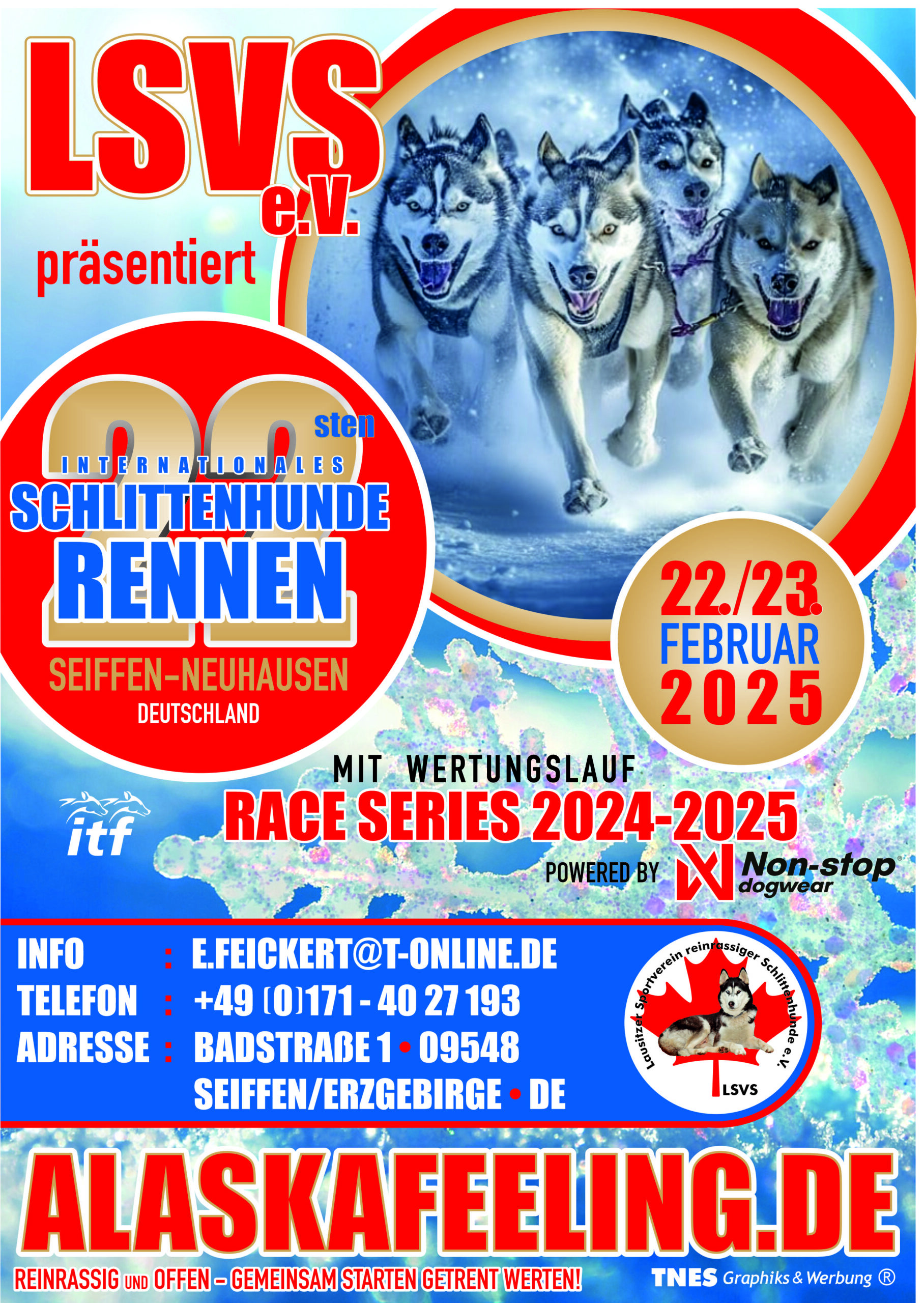 Schlittenhunderennen 7