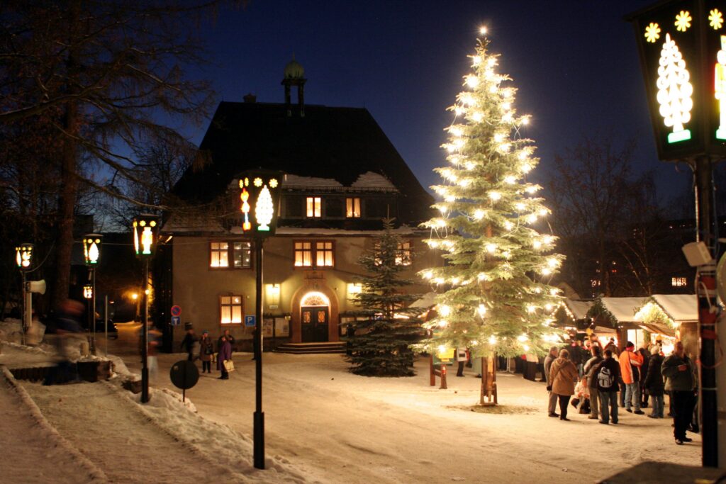 Weihnachtsbaum gesucht 1