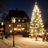 Weihnachtsbaum gesucht 3