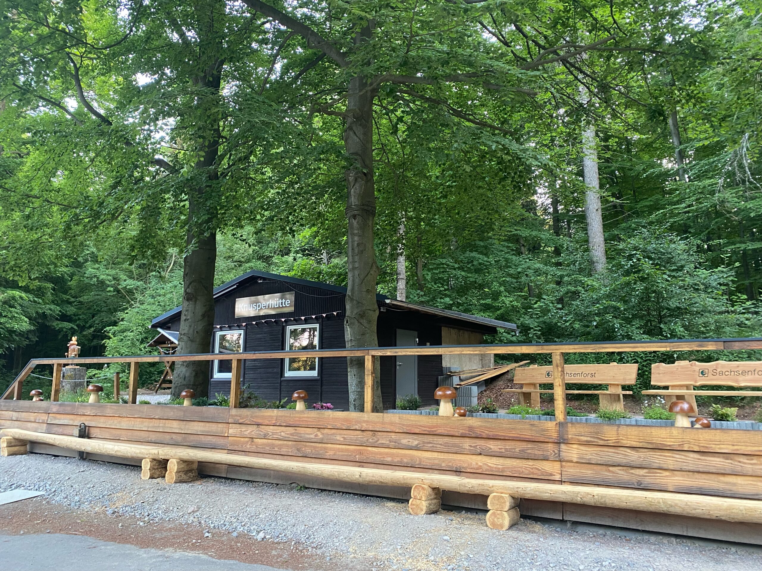 Musik im Waldfestgelände