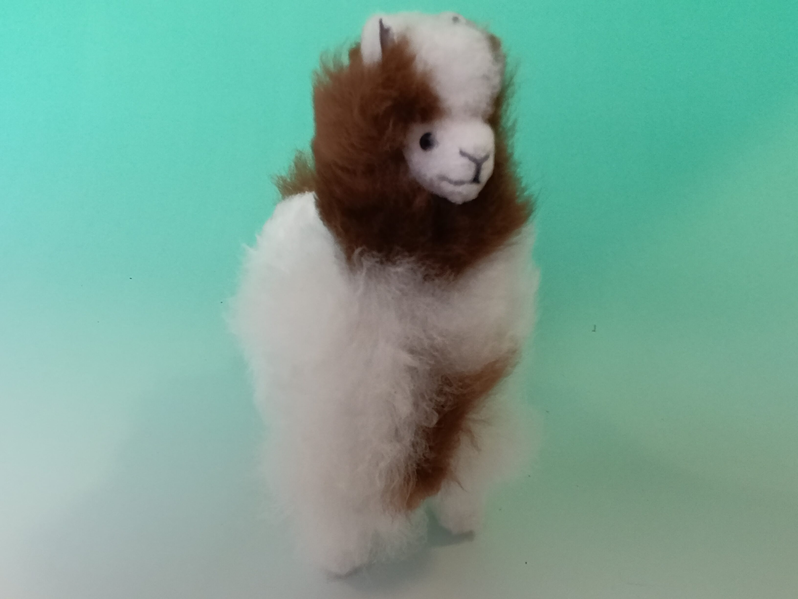 Gewinnspiel zur Seiffener Weihnacht 36